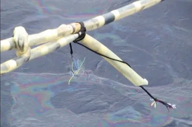 Xuyên tạc sự thật và hăm dọa dân tộc Việt Nam ảnh 2